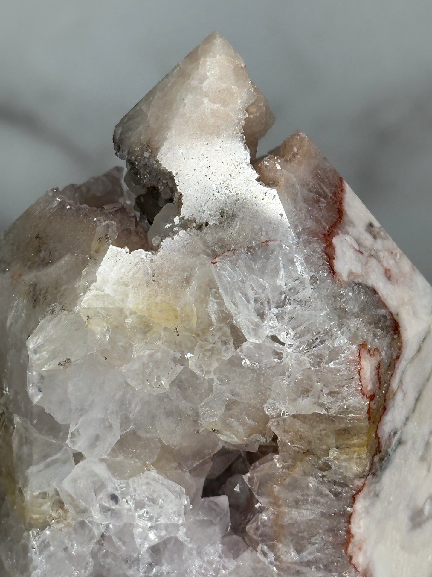 Younger Sister - The Mosaic Collection