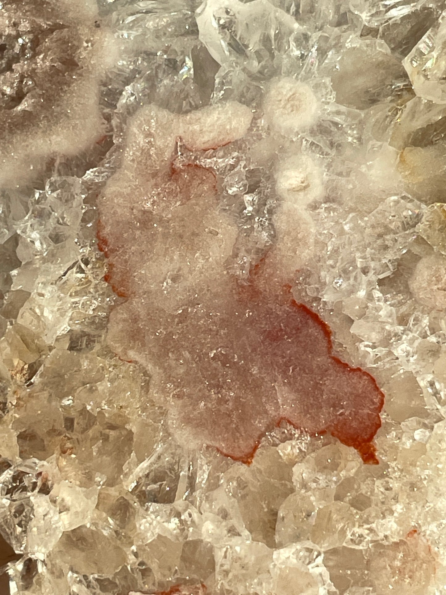 Plooming Tear Drop- The Flowering PA Collection