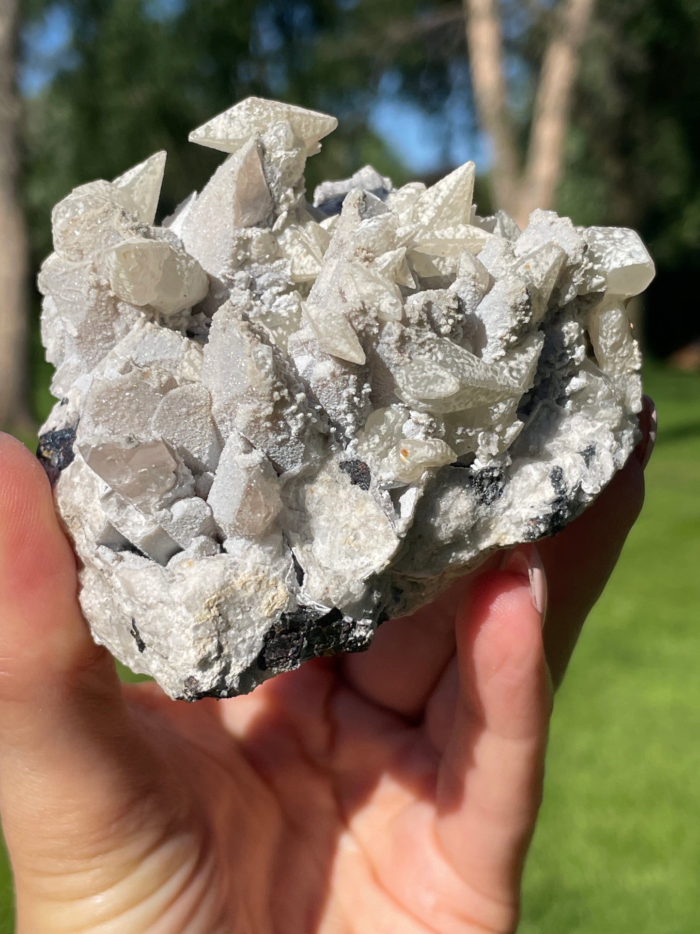 Seller's Choice - Petina Danburite Cluster