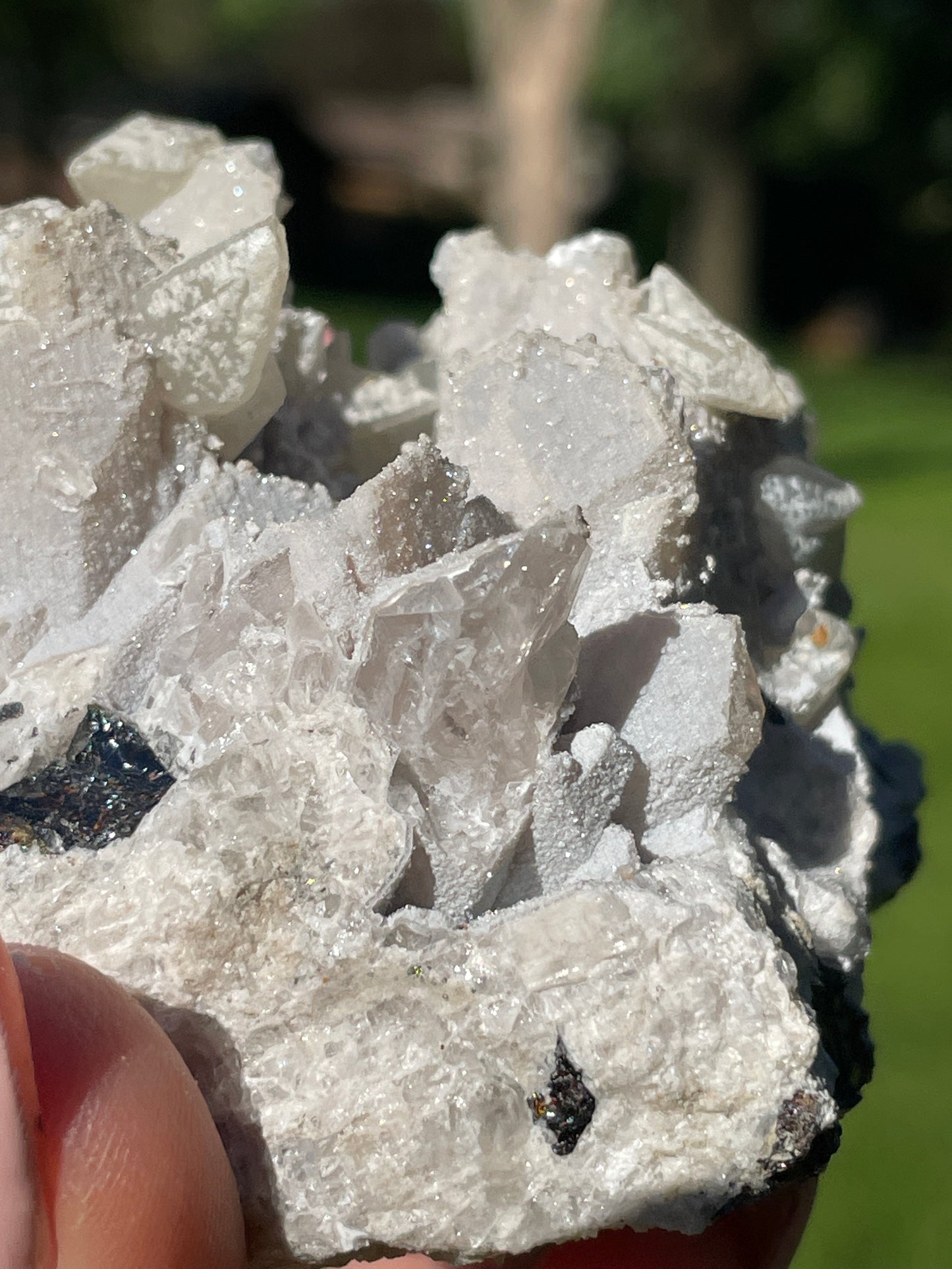 Seller's Choice - Petina Danburite Cluster