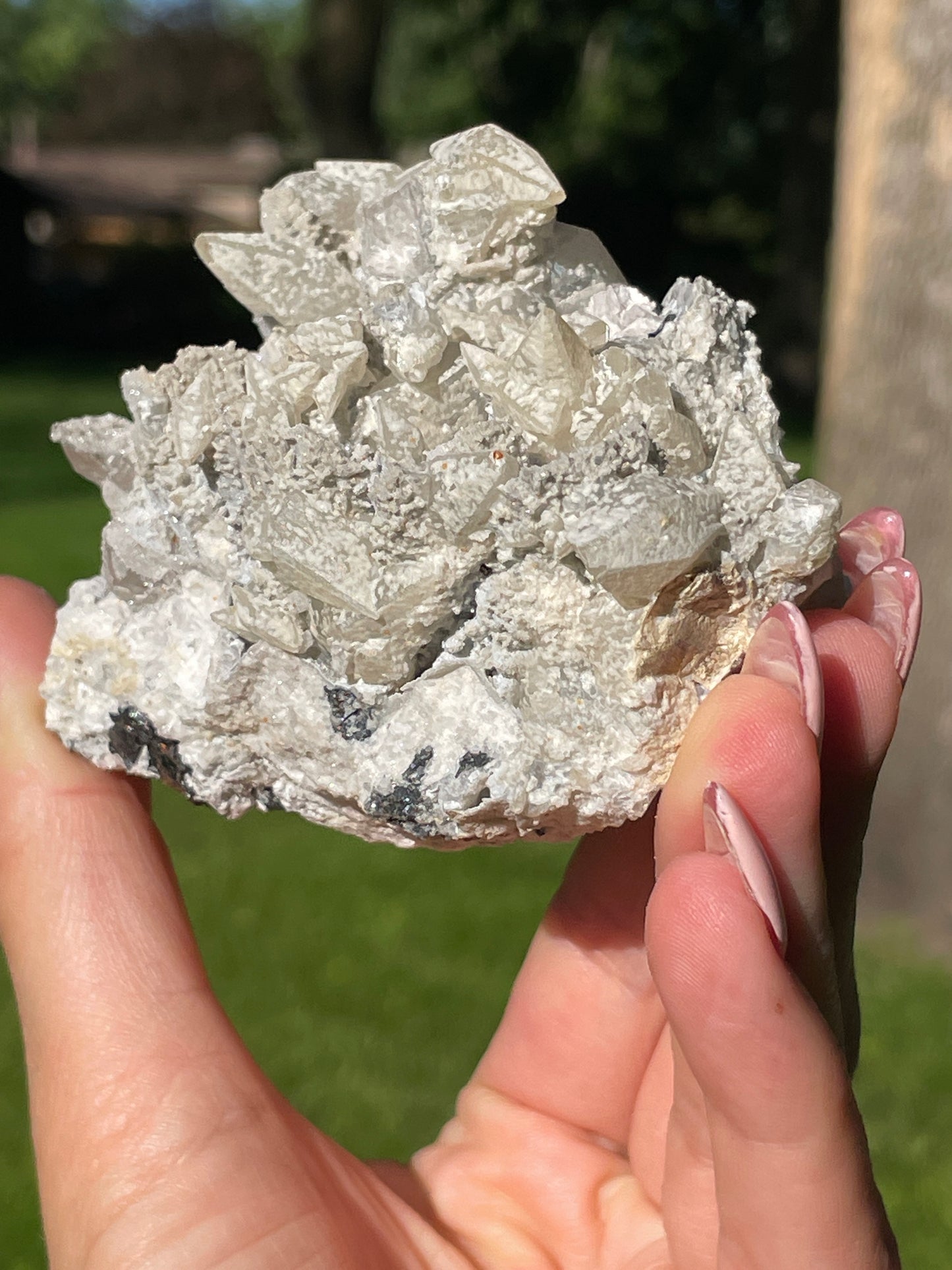 Seller's Choice - Petina Danburite Cluster