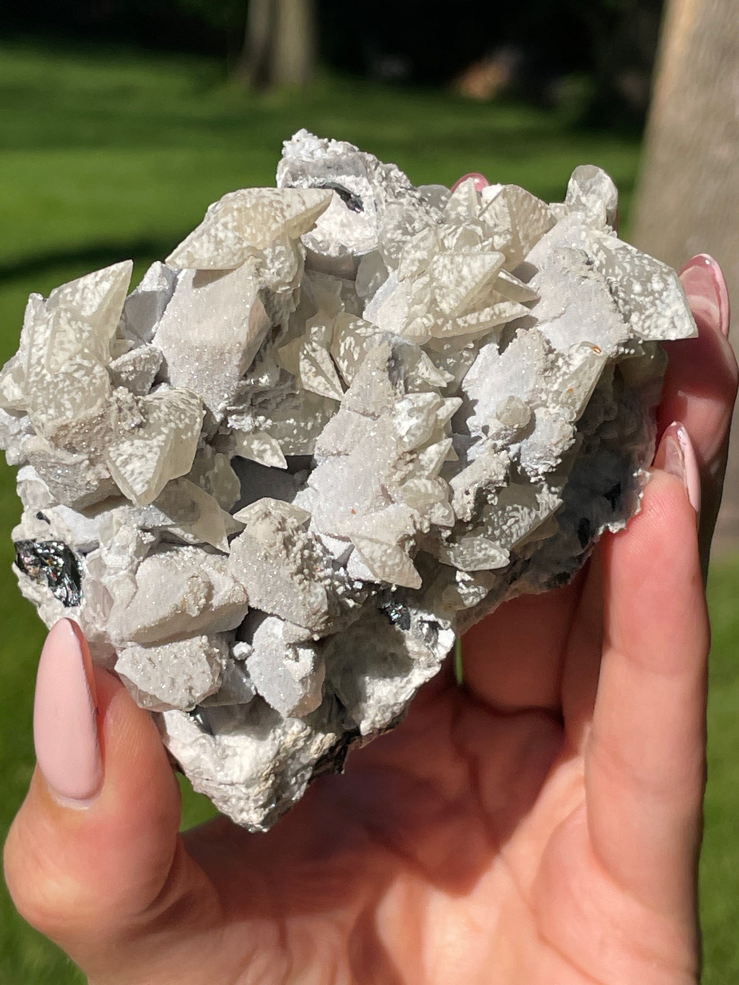 Seller's Choice - Petina Danburite Cluster