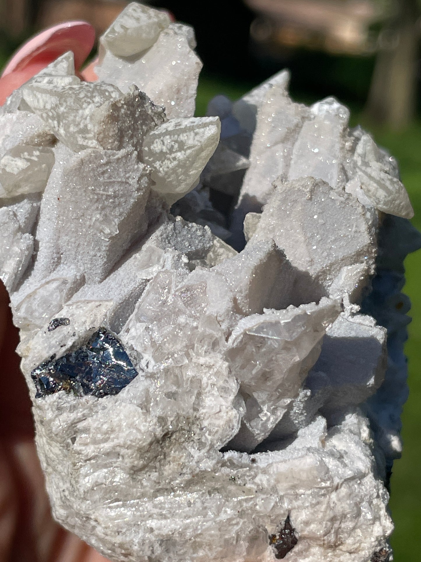 Seller's Choice - Petina Danburite Cluster