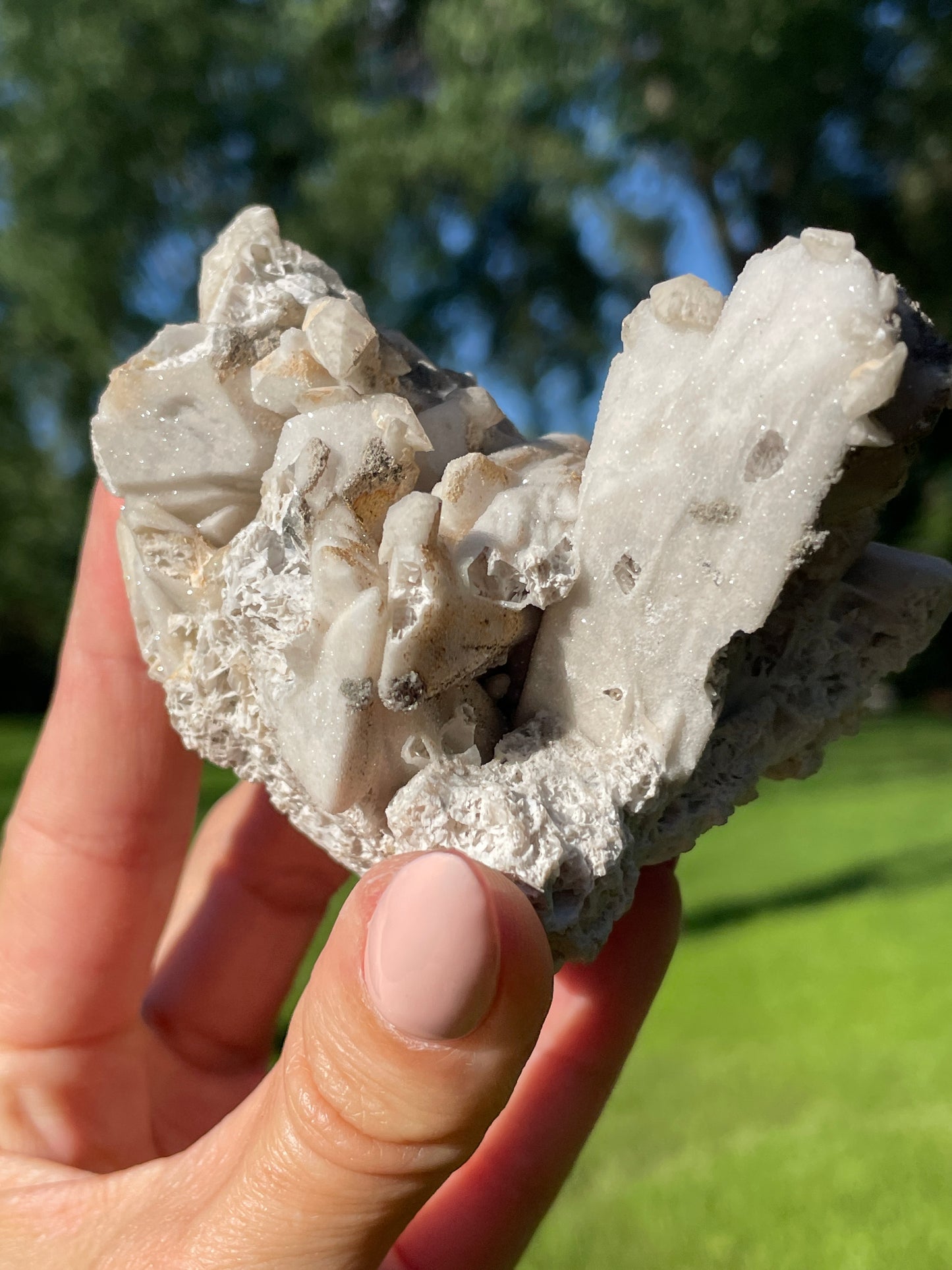 Coral-Like Artisan Danburite Cluster