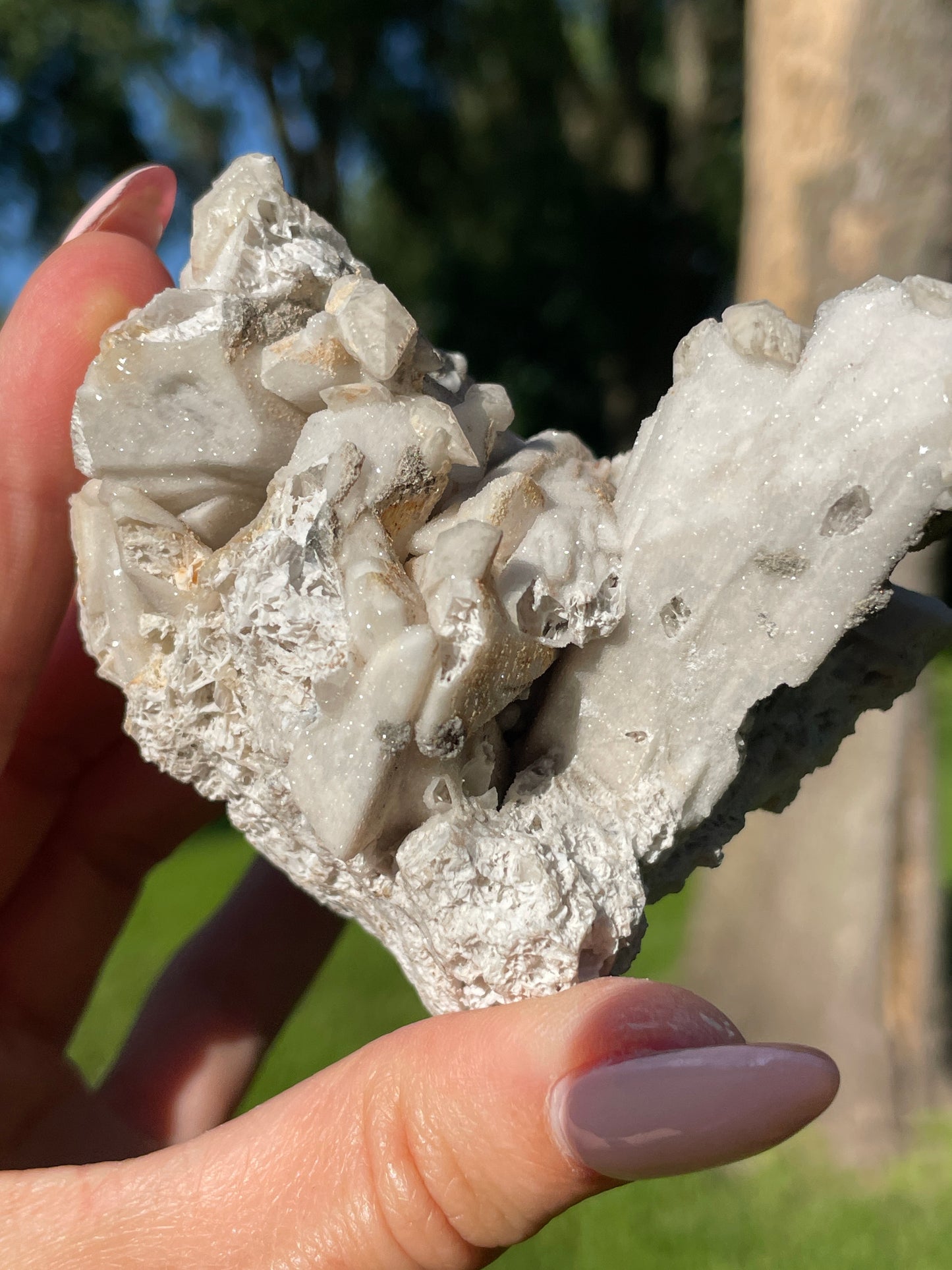 Coral-Like Artisan Danburite Cluster