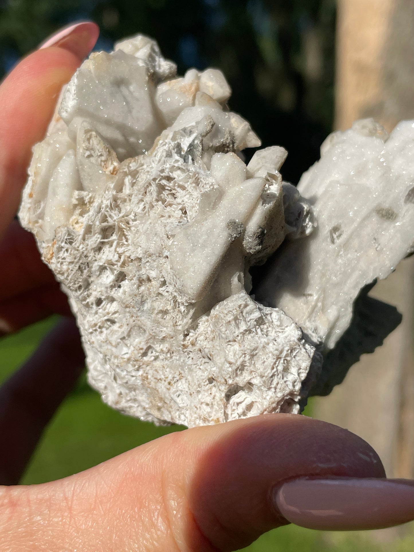 Coral-Like Artisan Danburite Cluster