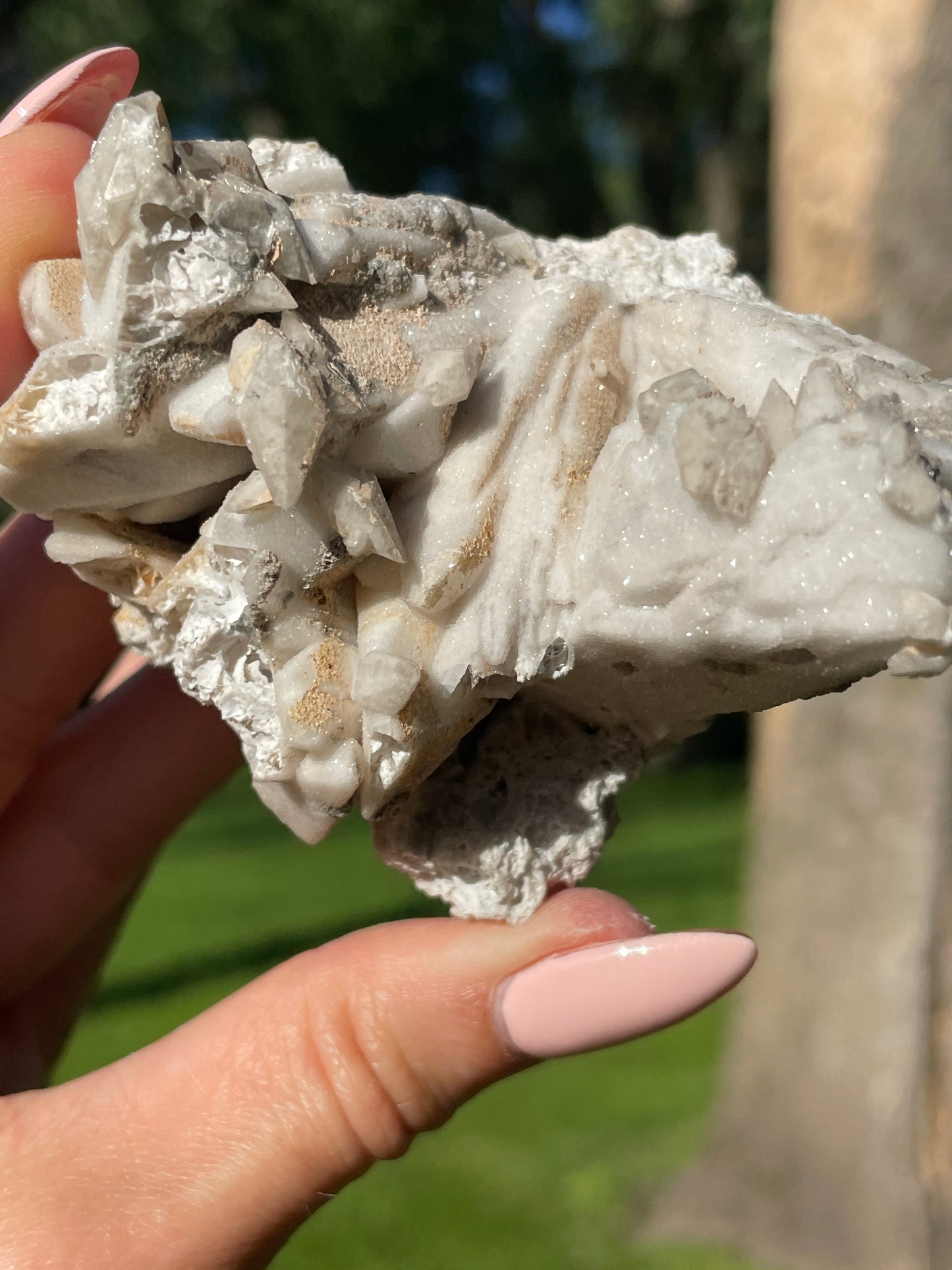 Coral-Like Artisan Danburite Cluster