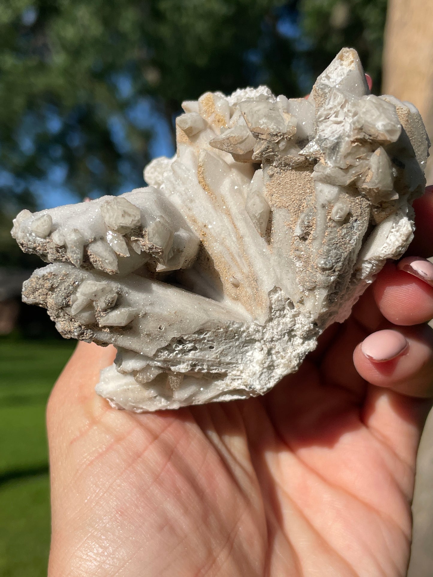 Coral-Like Artisan Danburite Cluster