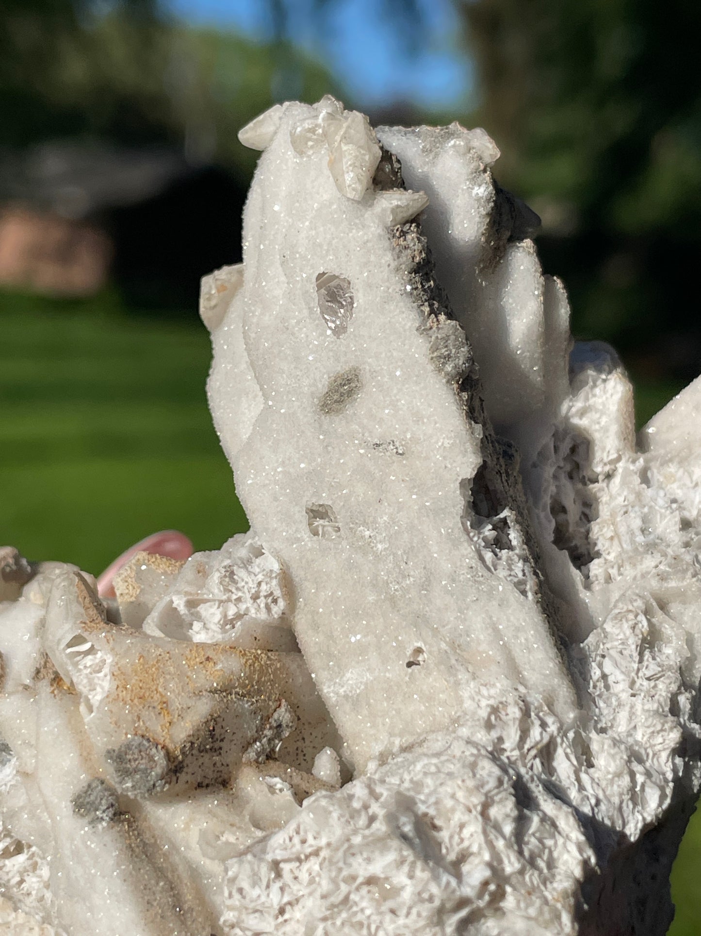 Coral-Like Artisan Danburite Cluster