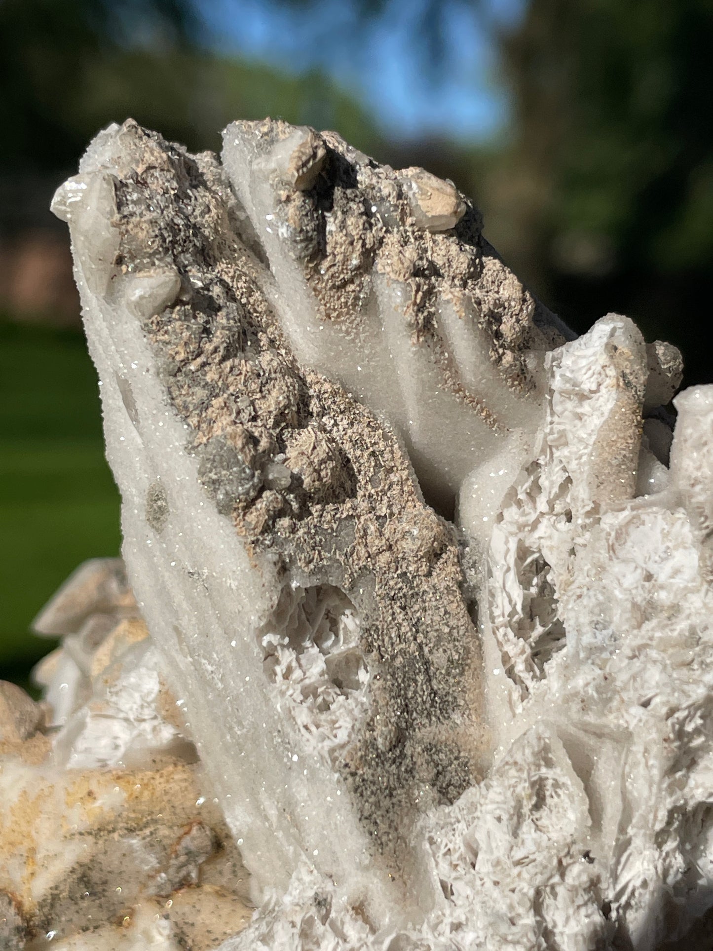 Coral-Like Artisan Danburite Cluster