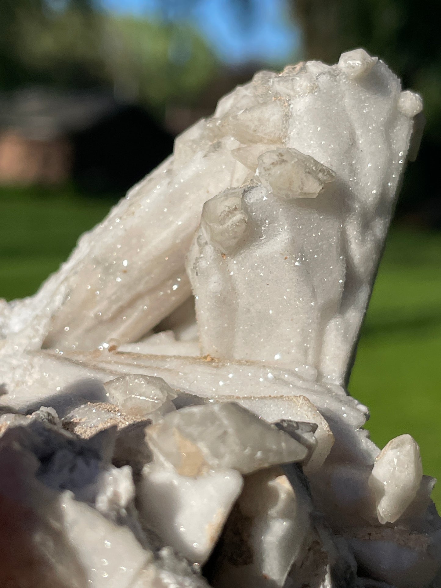 Coral-Like Artisan Danburite Cluster