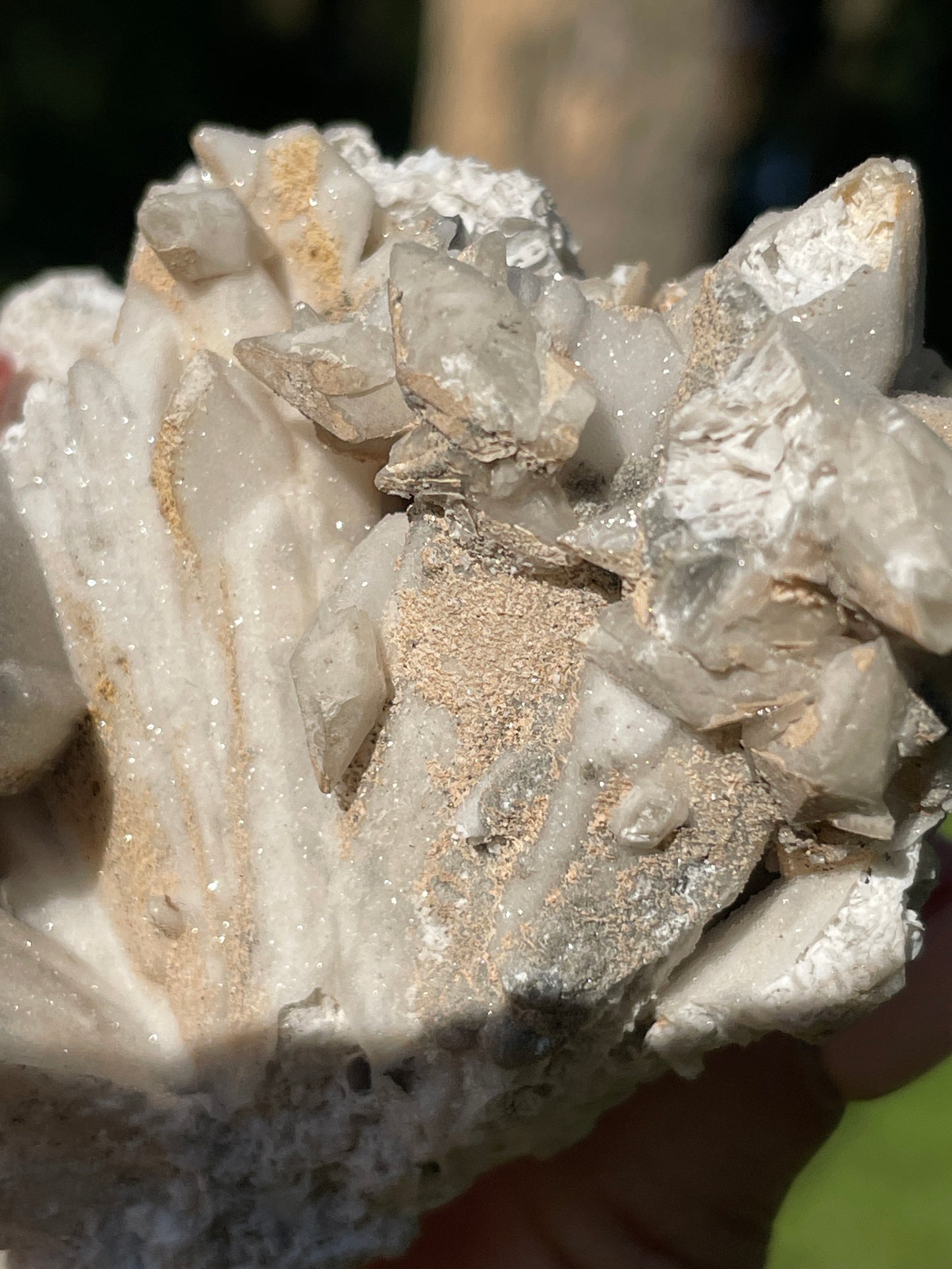 Coral-Like Artisan Danburite Cluster