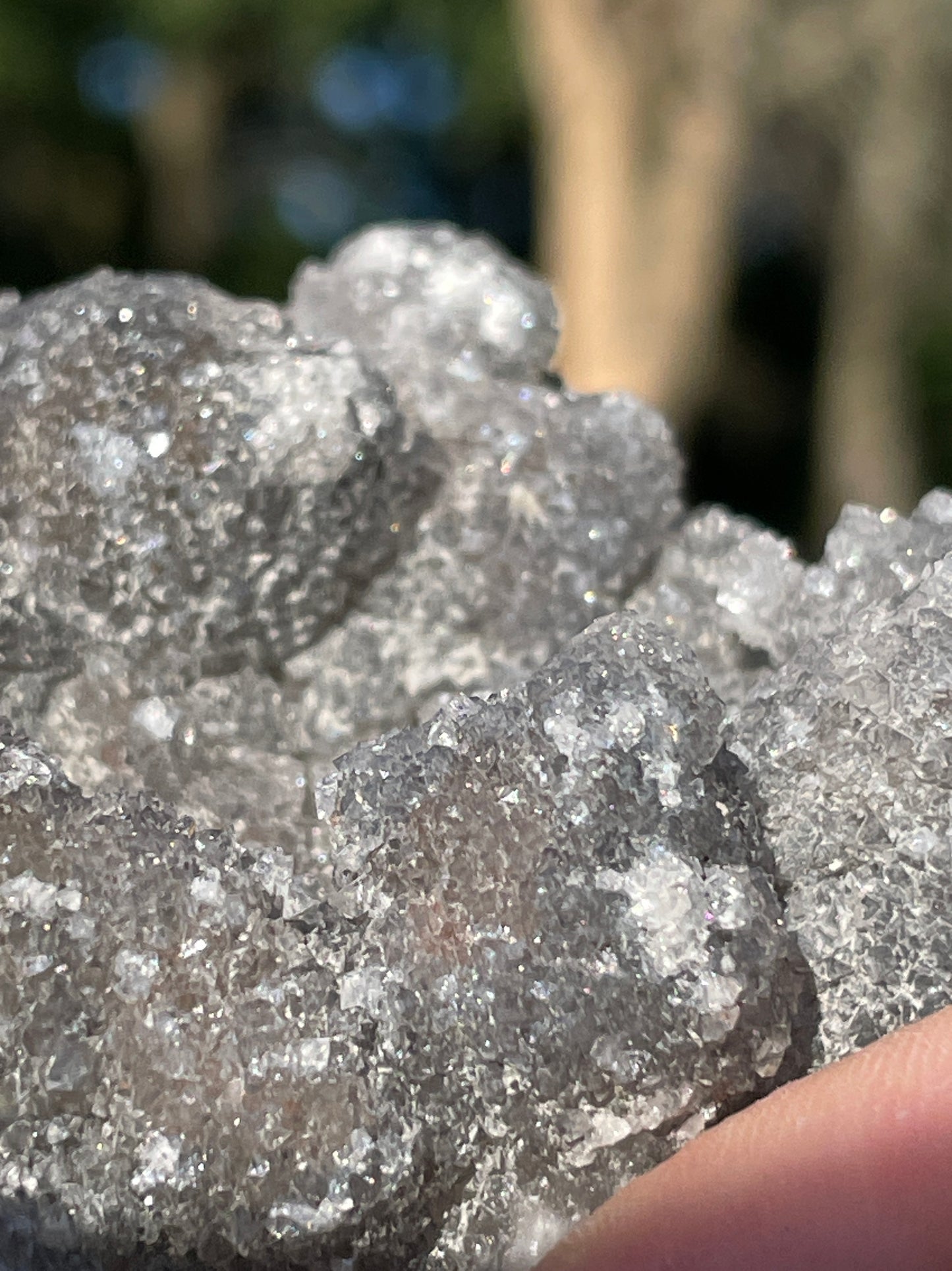 Bubbly Artisan Danburite Cluster