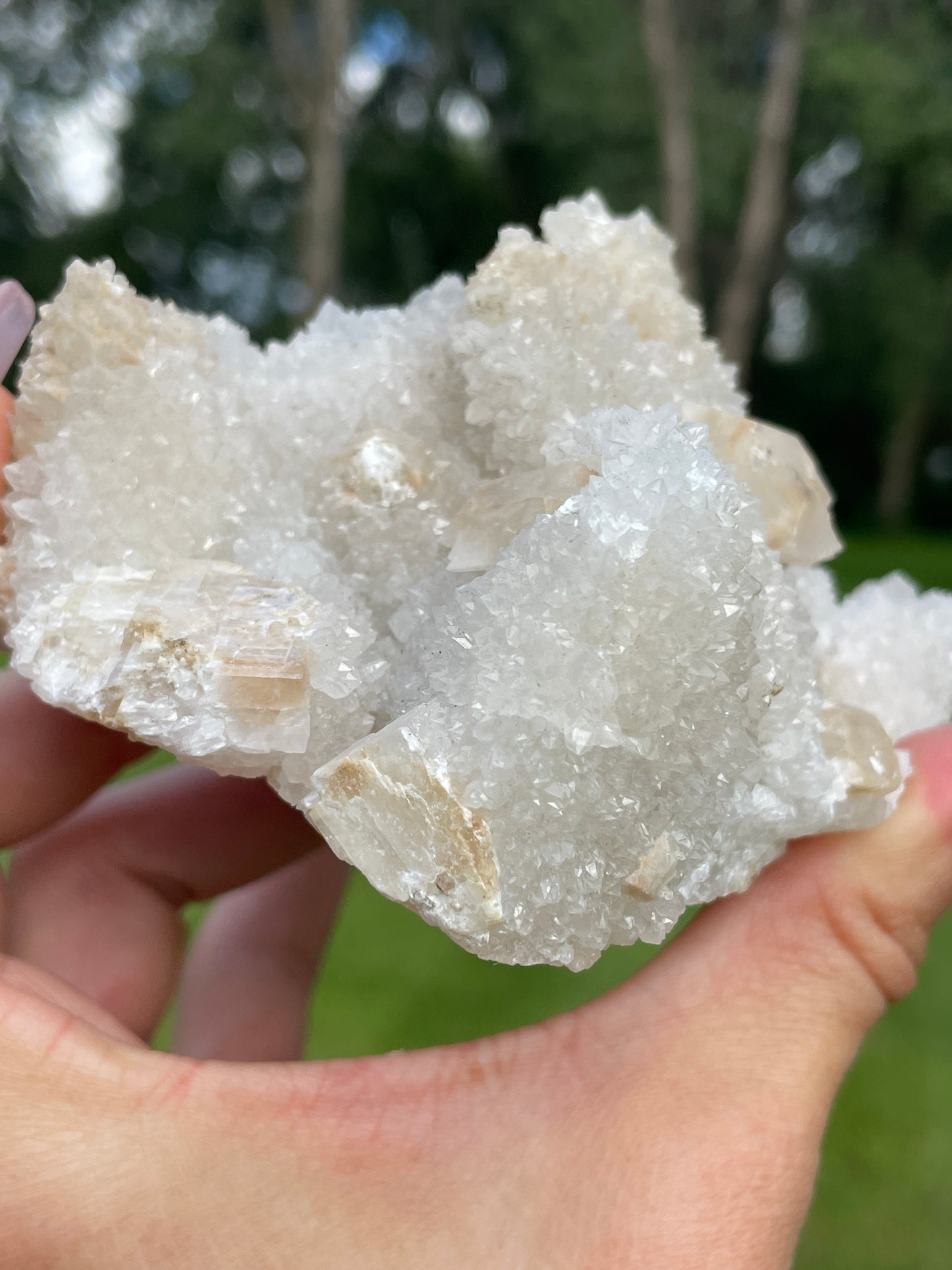 Druzy Danburite Cluster with Calcite & Chaclopyrite