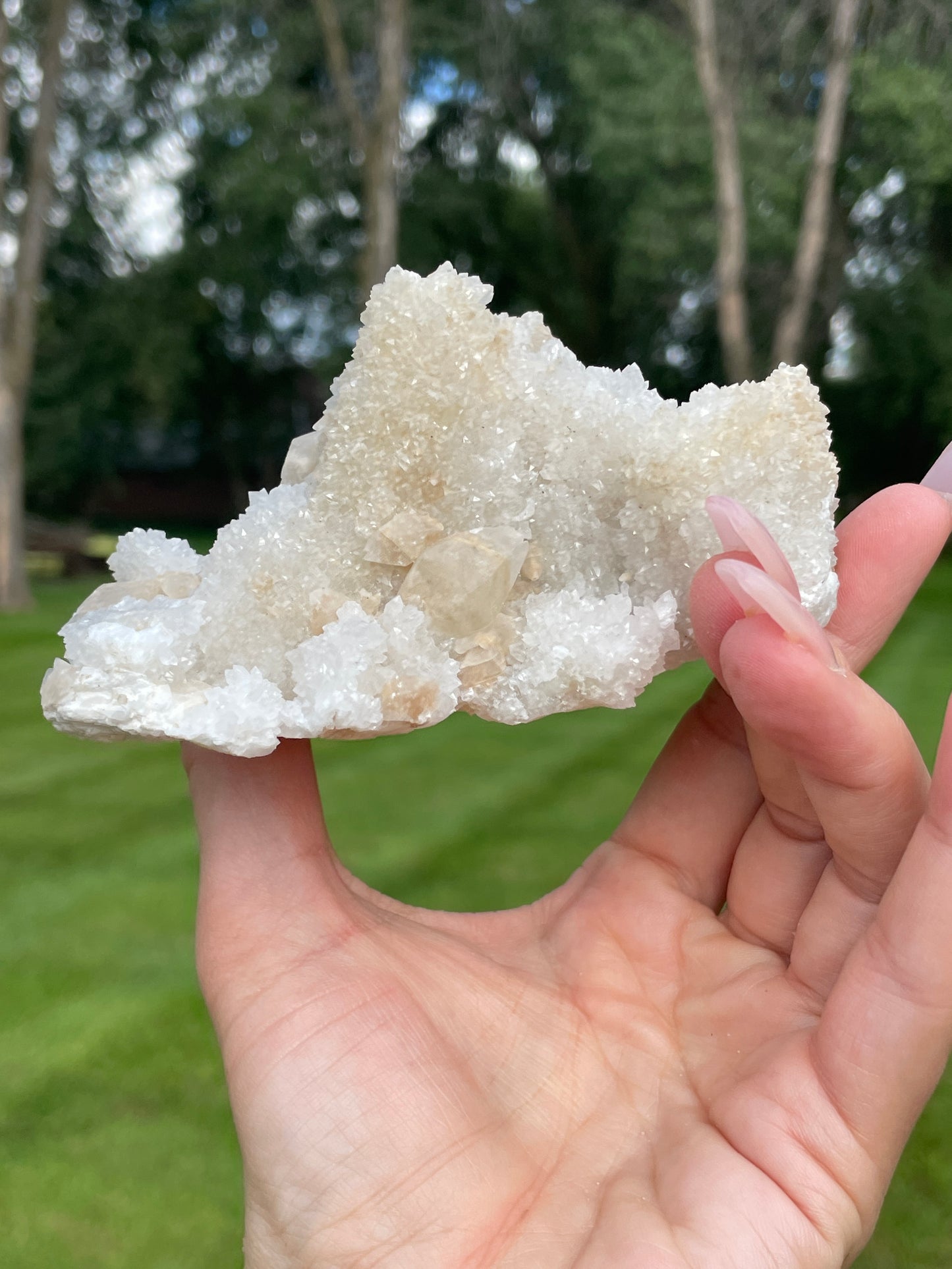 Druzy Danburite Cluster with Calcite & Chaclopyrite