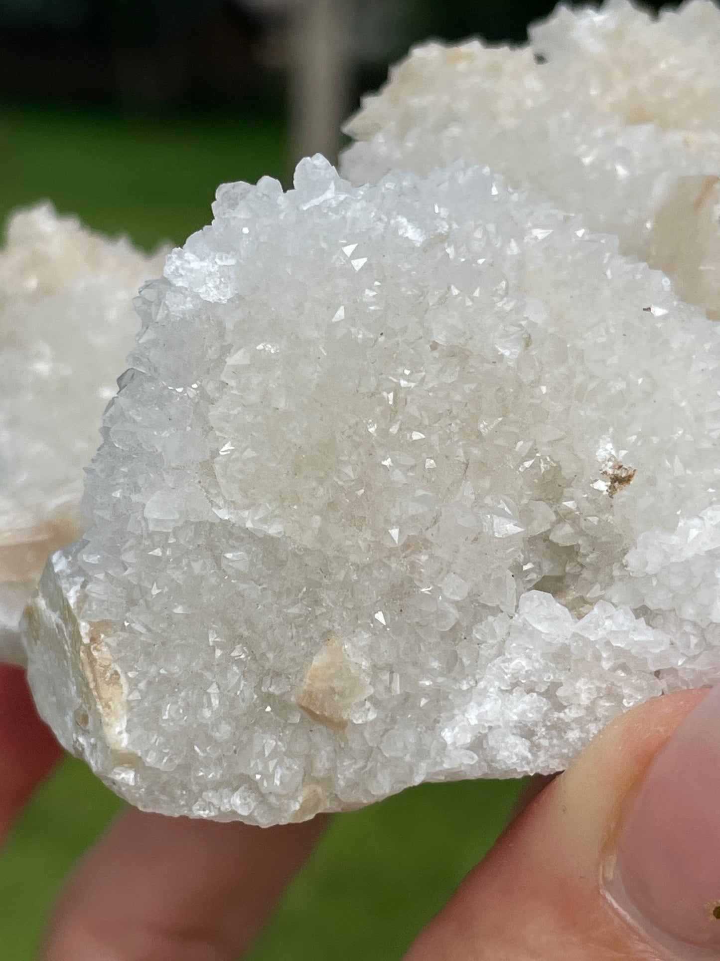 Druzy Danburite Cluster with Calcite & Chaclopyrite