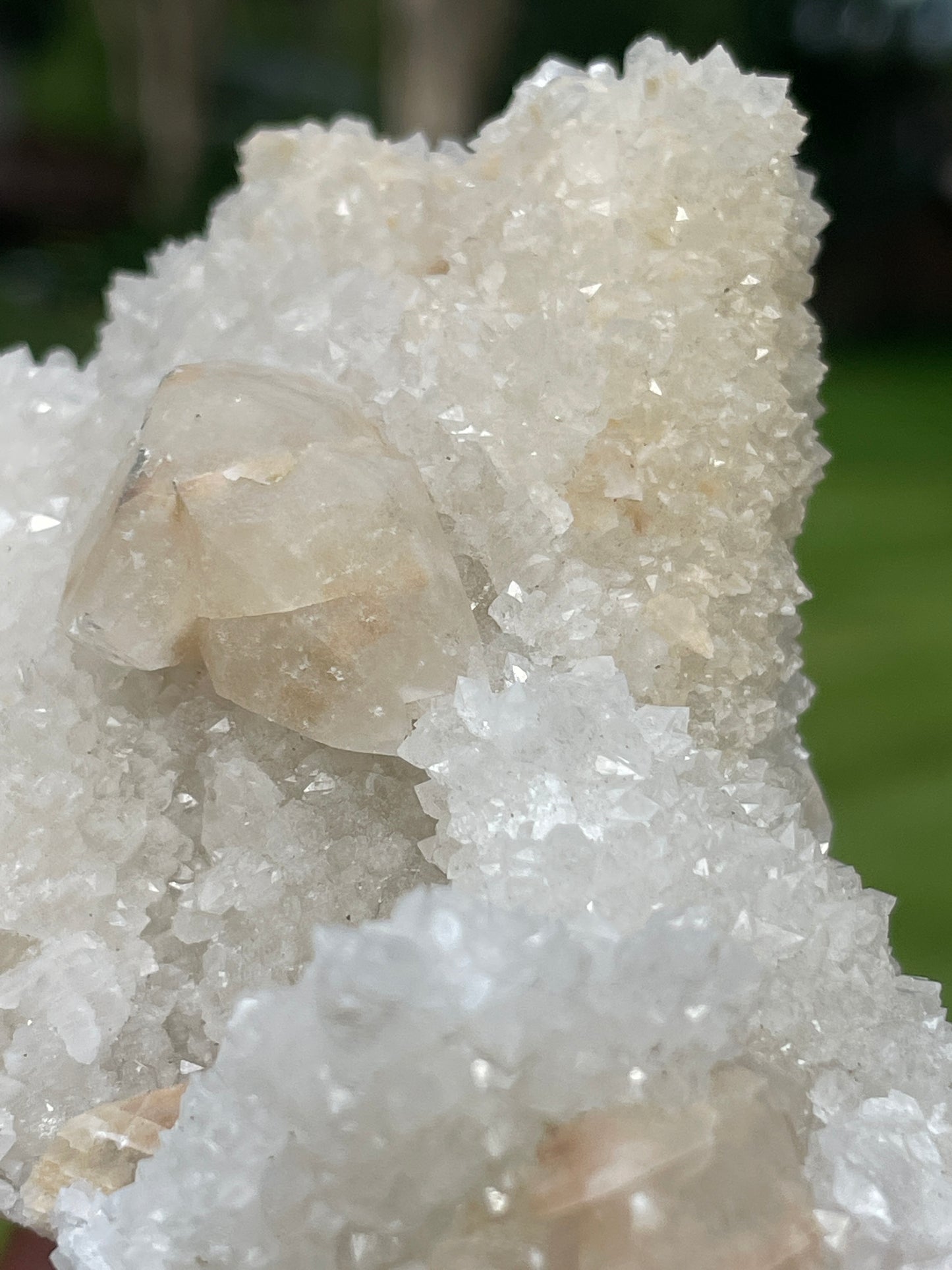 Druzy Danburite Cluster with Calcite & Chaclopyrite