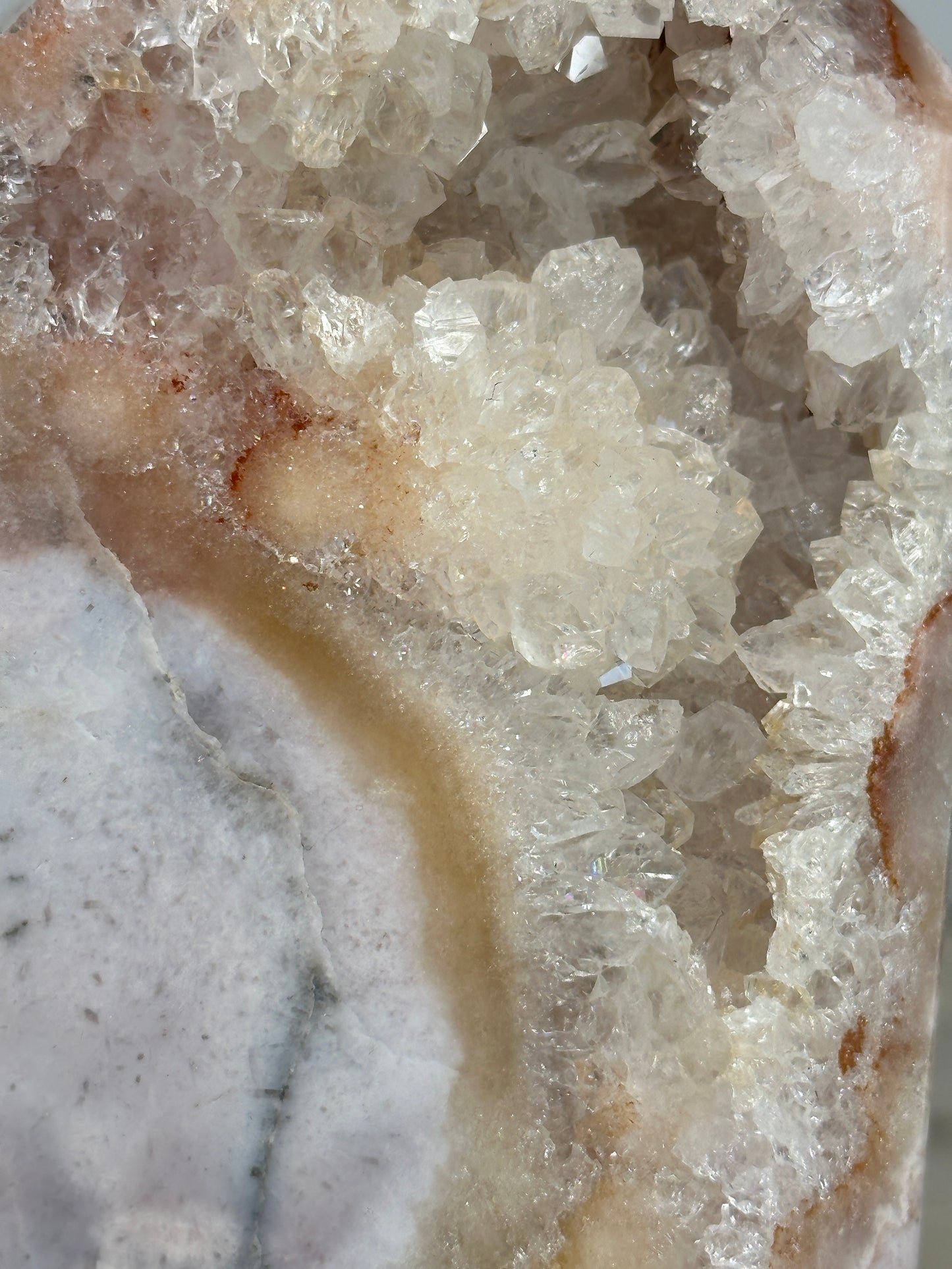 Cassie's Courage - The Mosaic Collection