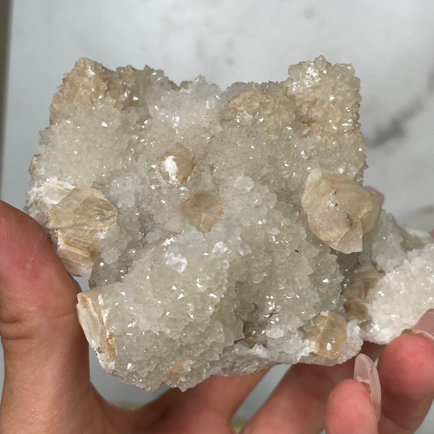 Druzy Danburite Cluster with Calcite & Chaclopyrite