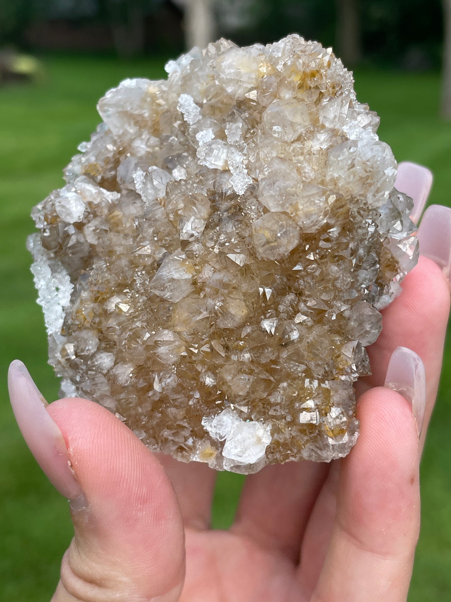 Golden Danburite