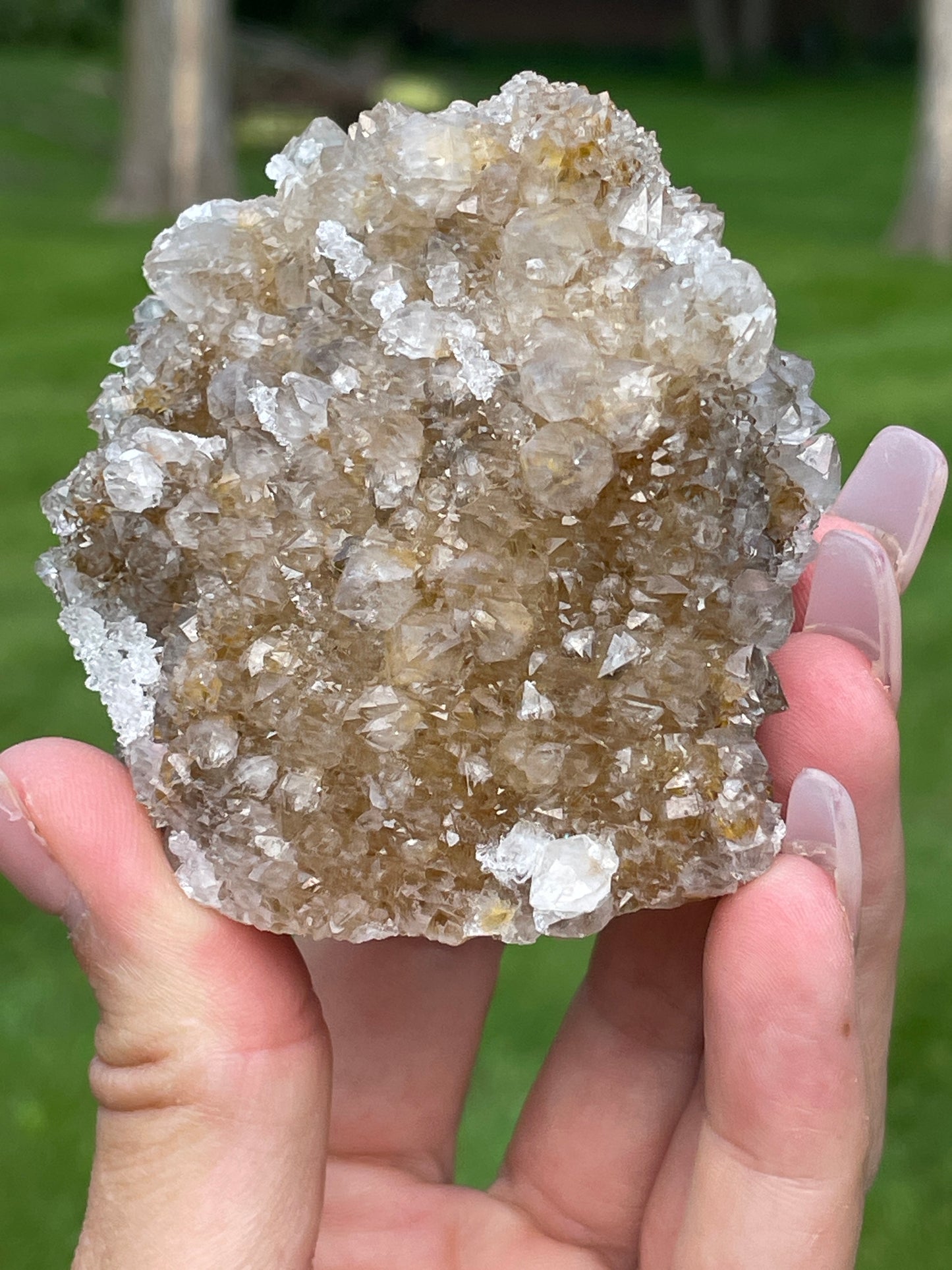 Golden Danburite