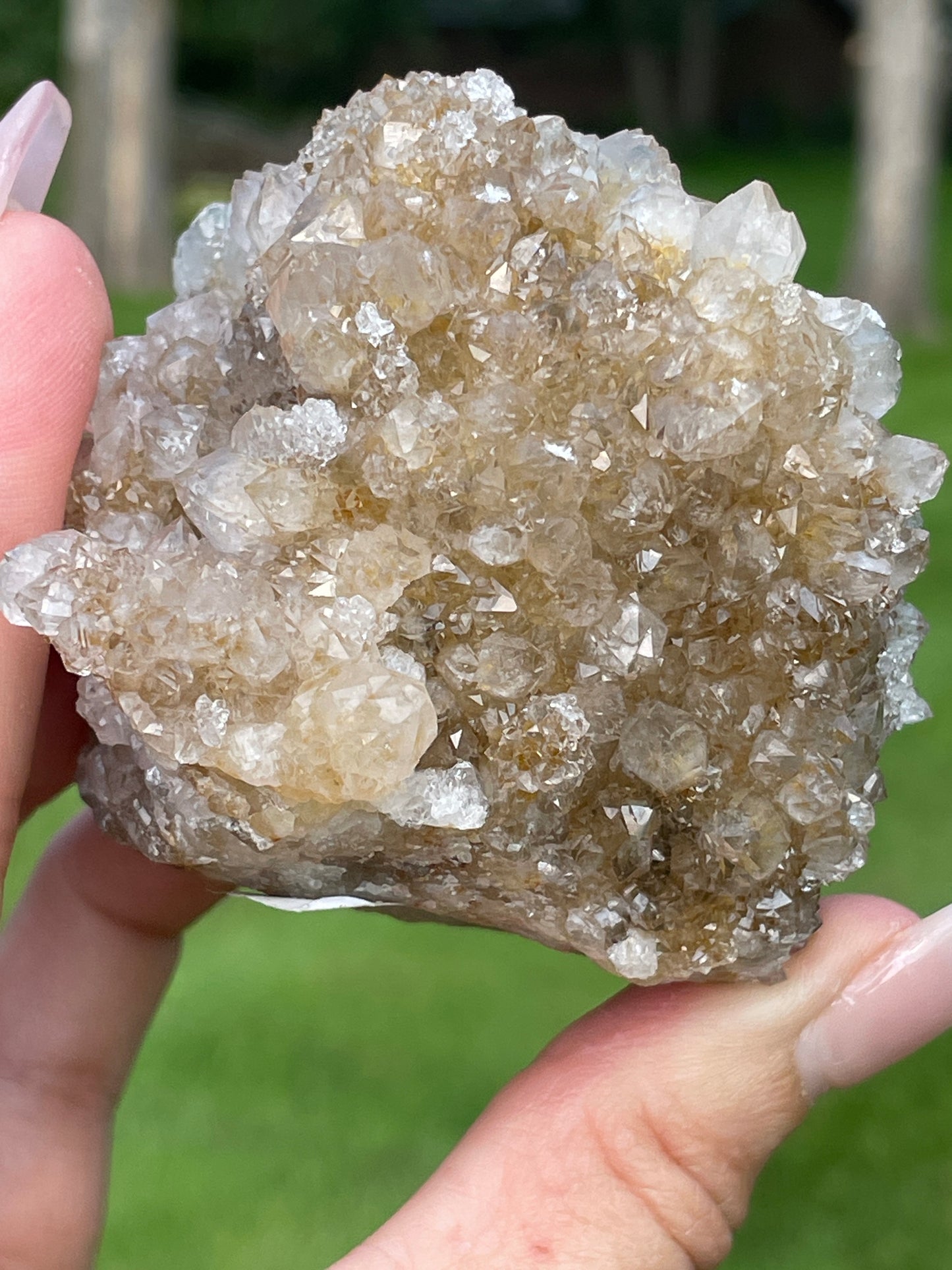 Golden Danburite