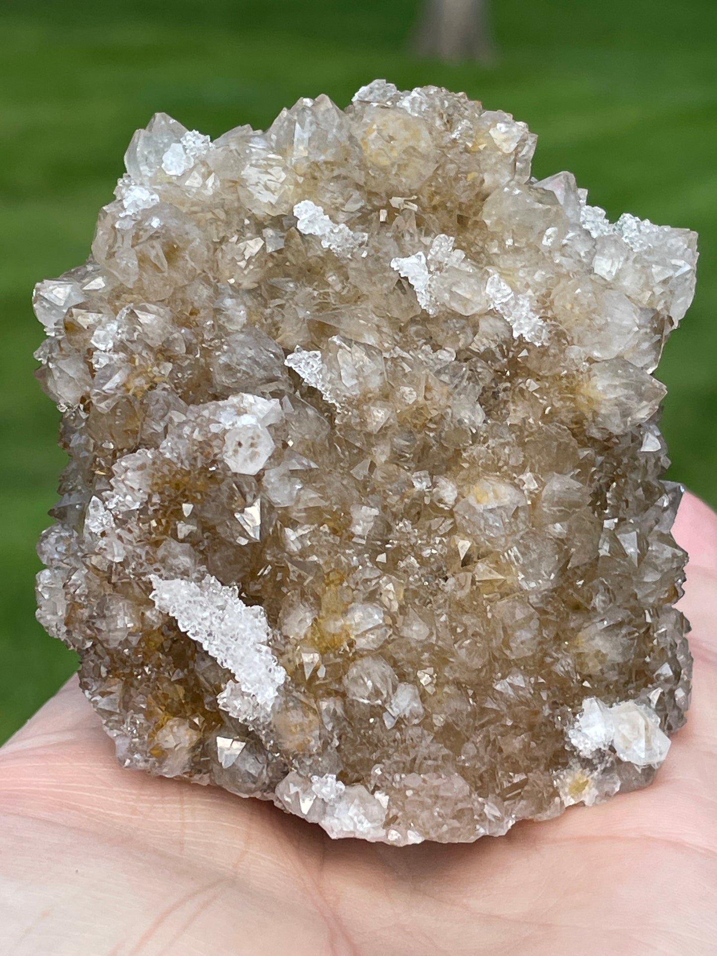 Golden Danburite