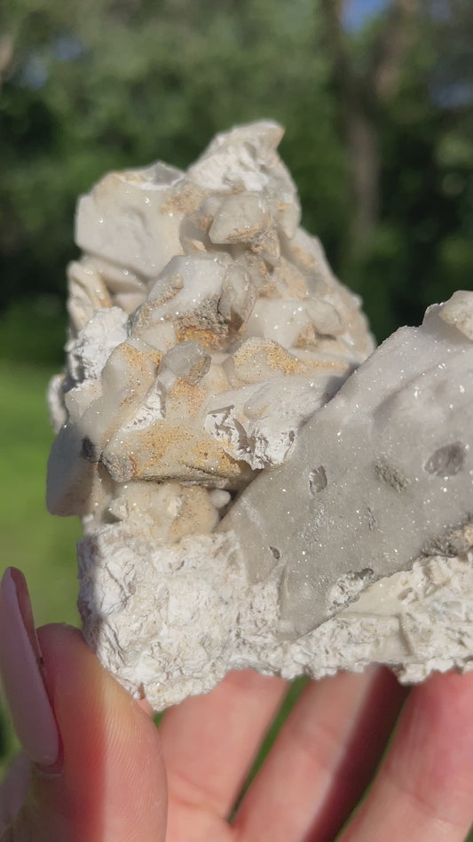 Coral-Like Artisan Danburite Cluster